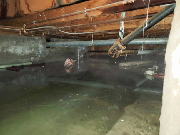 Best 24-hour water damage restoration  in Marionville, MO