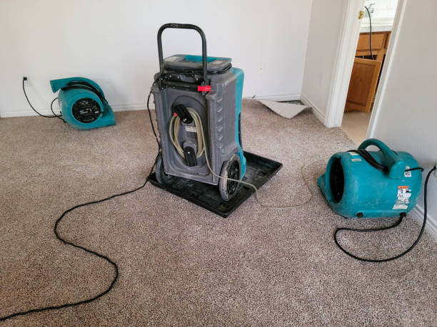 Best Local water damage restoration  in Marionville, MO