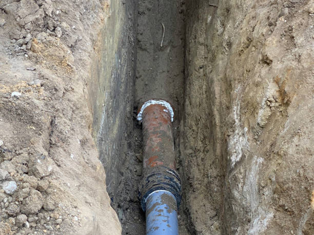 Best Basement water damage restoration  in Marionville, MO