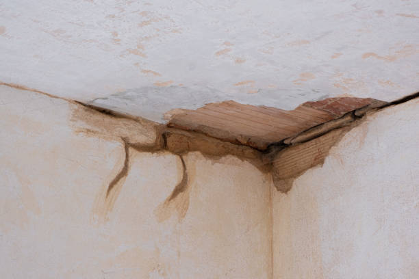 Best Residential water damage restoration  in Marionville, MO
