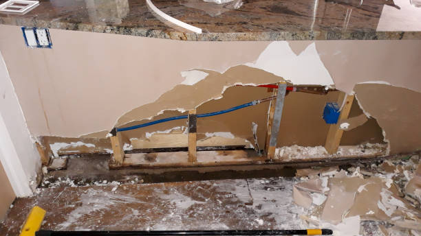 Best Water damage contractors near me  in Marionville, MO