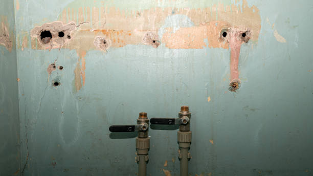 Best Water damage repair service  in Marionville, MO