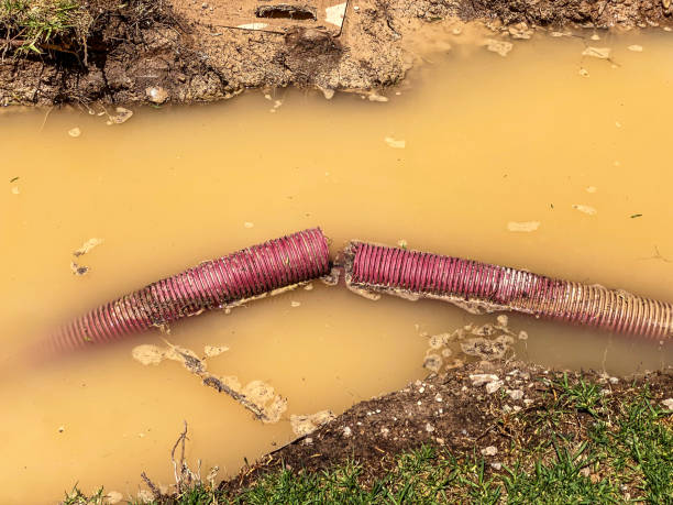 Best Water damage cleanup near me  in Marionville, MO