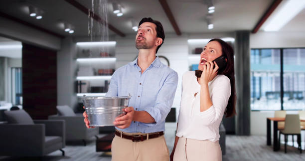  Marionville, MO Water damage restoration Pros