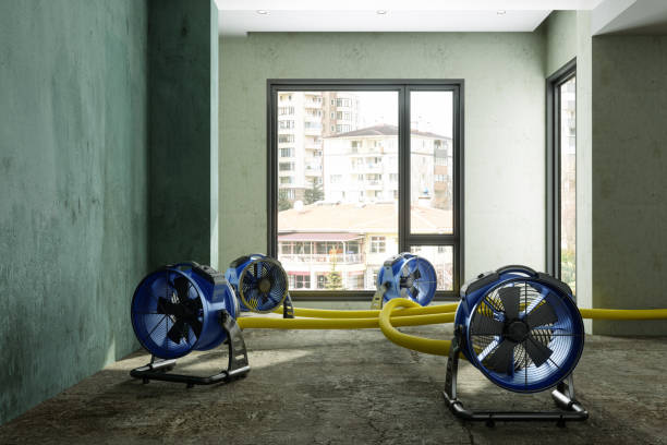 Best Commercial water damage restoration  in Marionville, MO