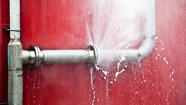 Best Flood restoration services  in Marionville, MO